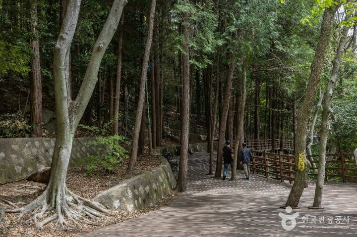 부산_성지곡수원지 (8)