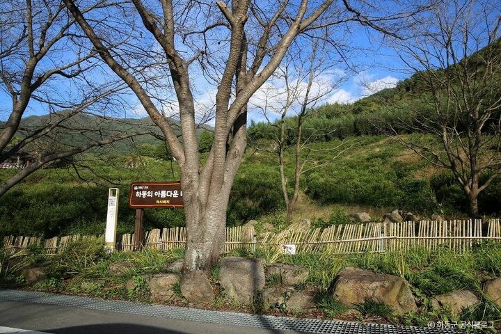 하동_쌍계사차나무시배지 (6)
