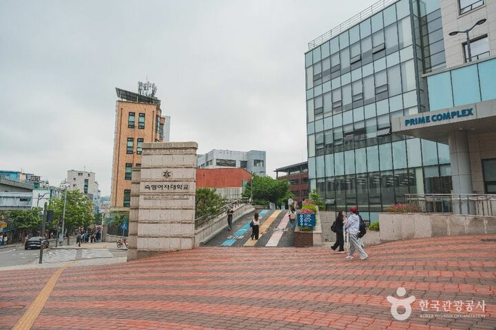 서울_숙명여자대학교 정영양자수박물관 (6)