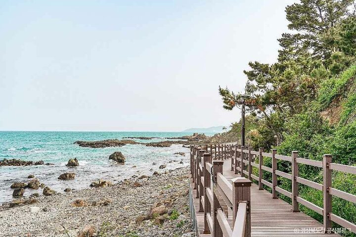 경주_경주 양남 주상절리군 (4).jpg