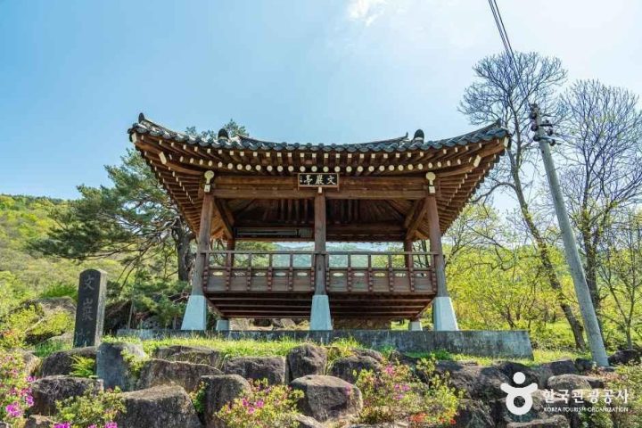 하동_하동 축지리 문암송(악양문암송) (1).jpg