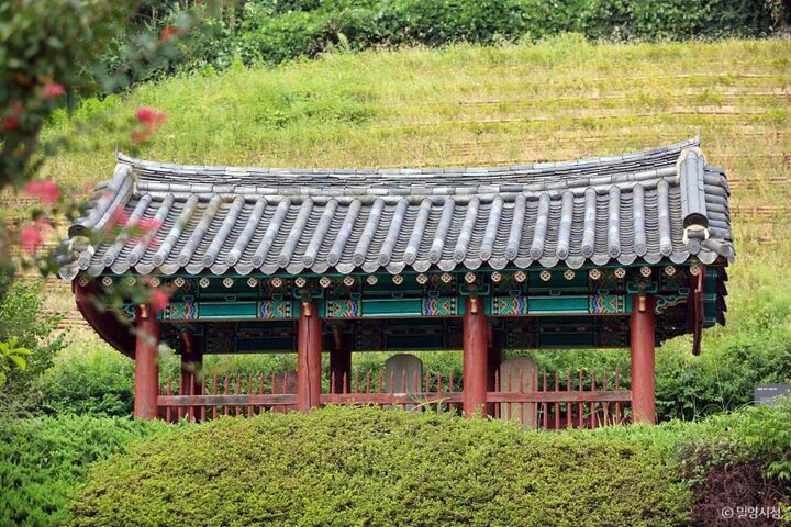 작원관지 (5)