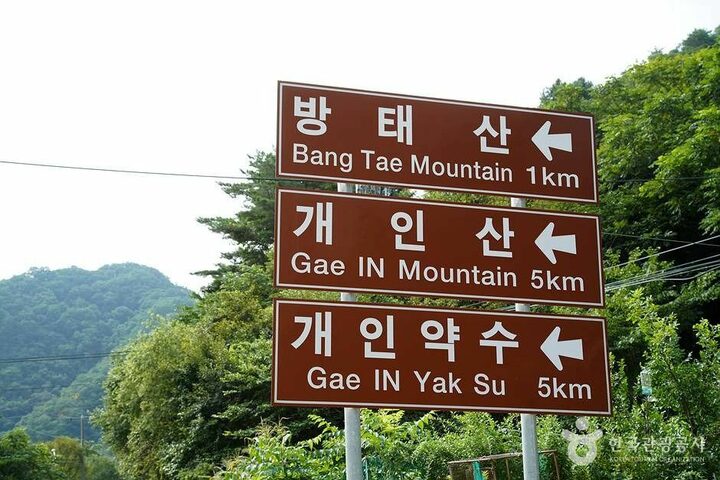 인제 미산리 개인약수 (05)