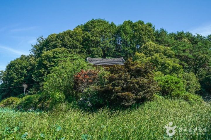 예천_예천권씨 병암정 및 별묘 (1)
