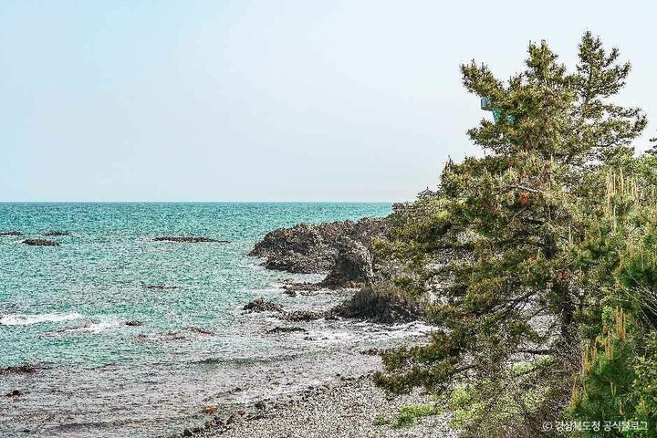 경주_경주 양남 주상절리군 (5).jpg