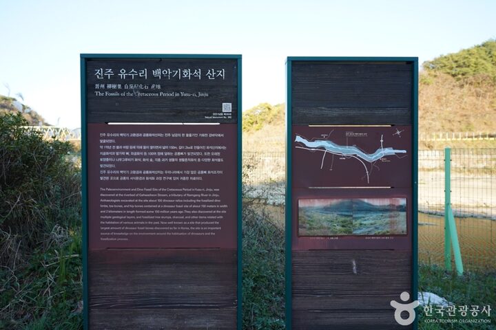 경남_진주_진주 유수리 백악기화석 산지 (7)