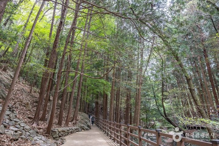 부산_성지곡수원지 (11)