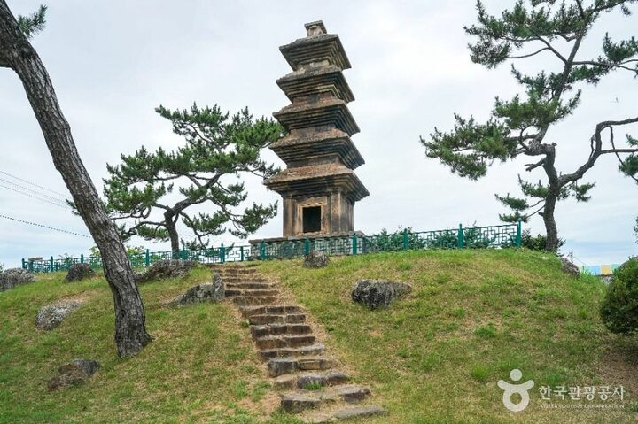 의성_의성 탑리리 오층석탑 (3)