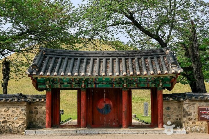 경주 대릉원 일원 (6)