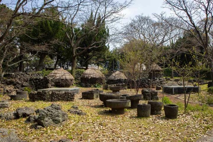 제주_제주특별자치도민속자연사박물관 (15).jpg
