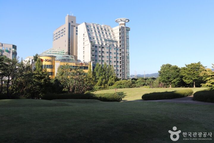 둔산선사유적지 8