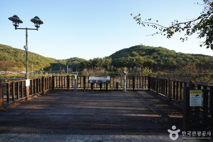 경남_진주_진주 유수리 백악기화석 산지 (8)