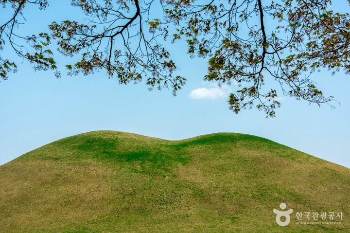 경주 대릉원 일원 (7)