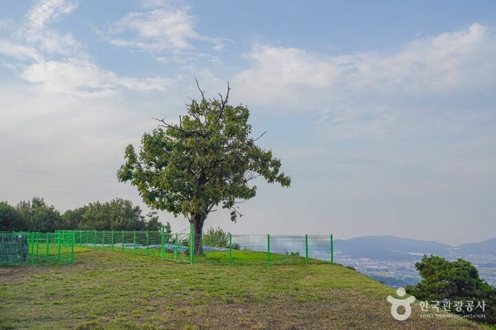 안성_죽주산성 (4)
