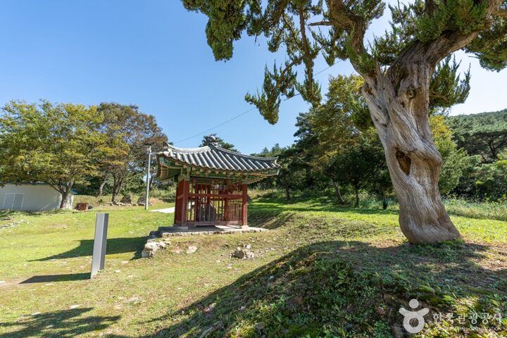 인각사지 (12)