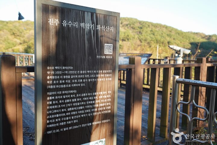 경남_진주_진주 유수리 백악기화석 산지 (9)