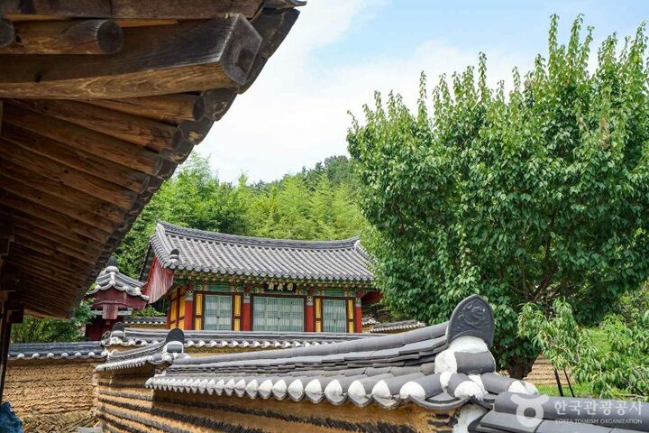 창녕_금호재 (3)
