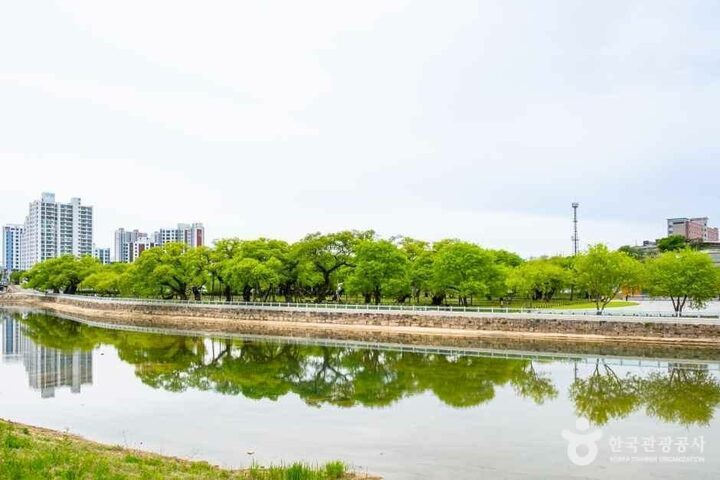 경북_성주_성주 경산리 성밖숲_외부_5.jpg