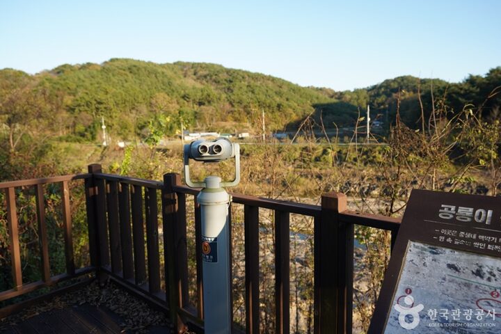 경남_진주_진주 유수리 백악기화석 산지 (11)