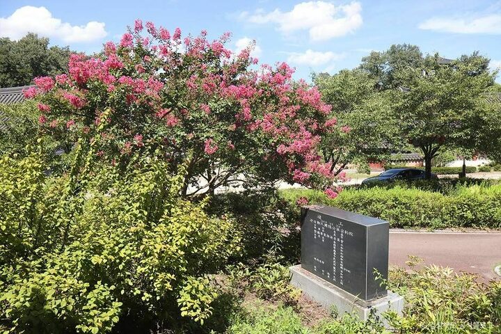 영천_임고서원 (3)