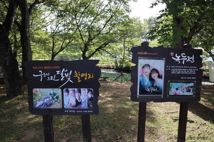 고성_장산숲 (2)