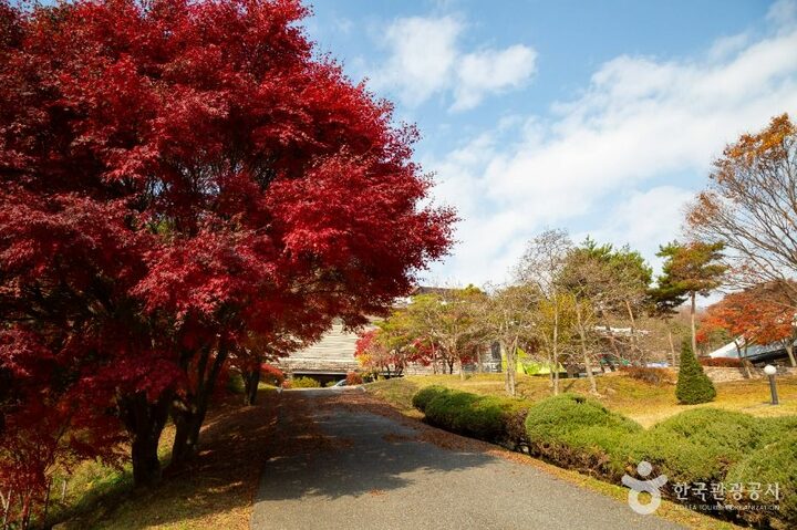국립청주박물관 (10)