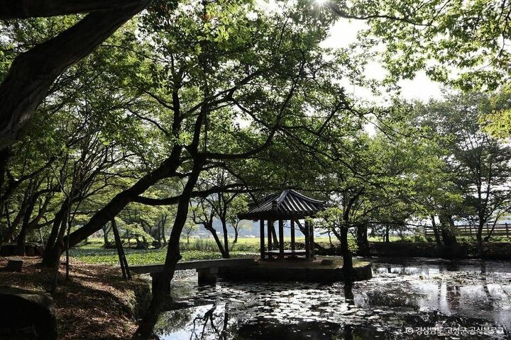 고성_장산숲 (3)