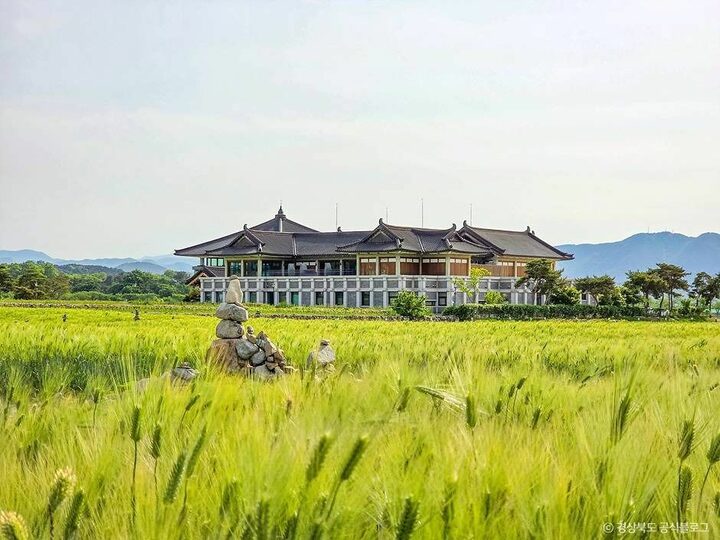 경주_경주 황룡사지 (4)