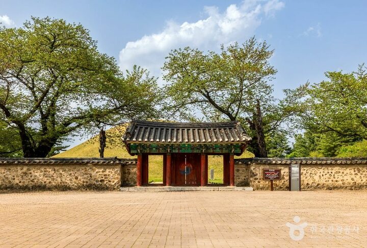 경주 대릉원 일원 (13)