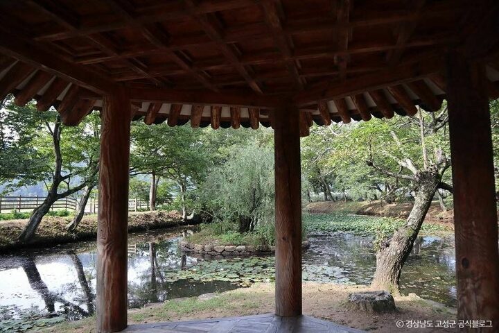 고성_장산숲 (4)