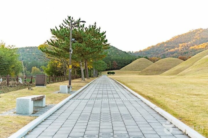 경주_경주 서악동 고분군 (5)