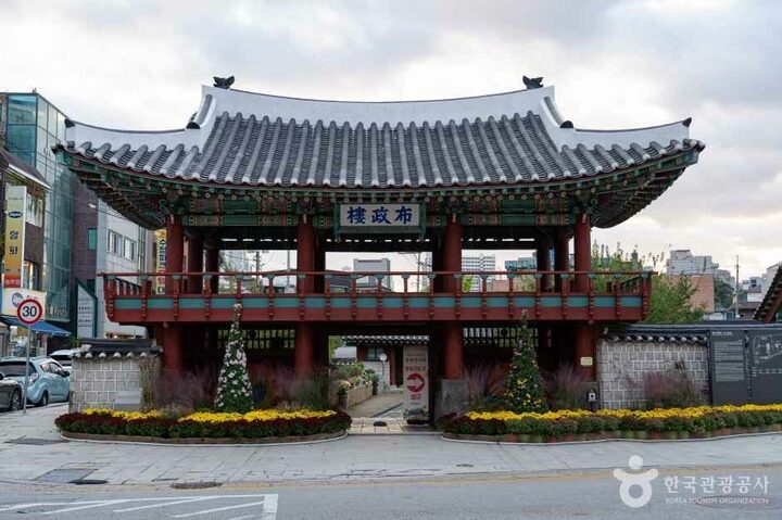 강원감영 국화전시회 (1)