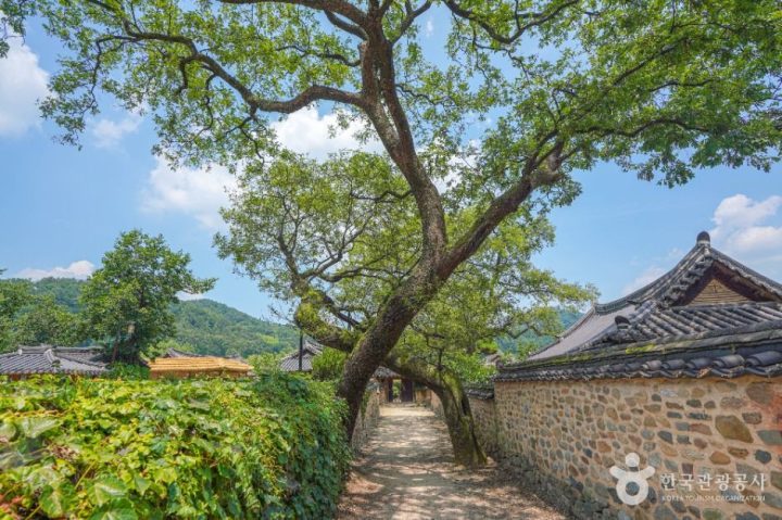 산청_산청 남사리 이씨고가 (1)