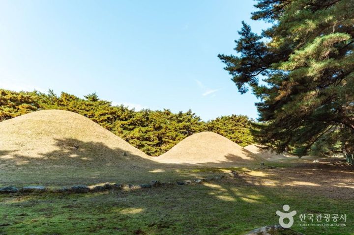 경주_경주 배동 삼릉 (3)