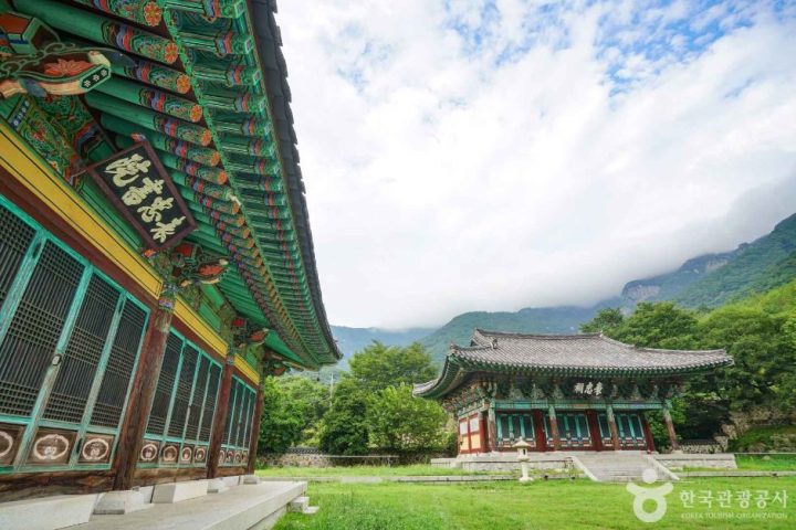 표충서원 (2)