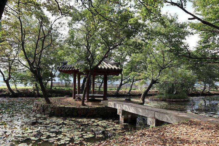 고성_장산숲 (7)