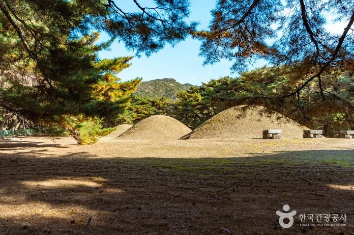 경주_경주 배동 삼릉 (1)