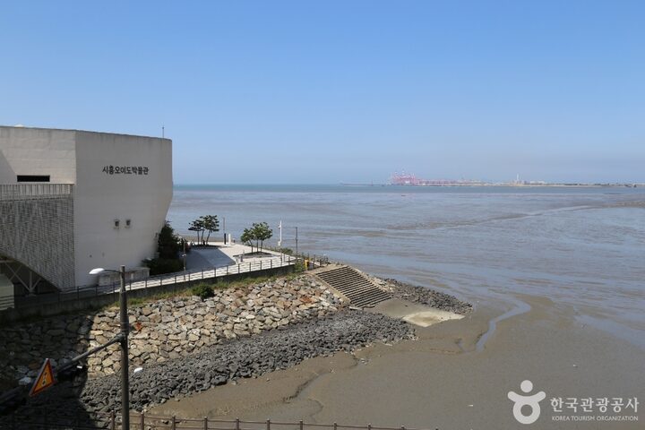 시흥오이도박물관_4