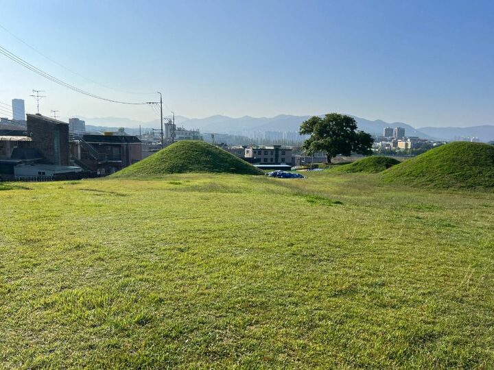 임당동고분군_고분군내 별도 산책로는 존재하지 않음