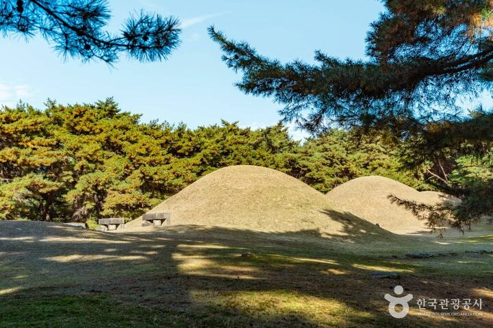 경주_경주 배동 삼릉 (2)