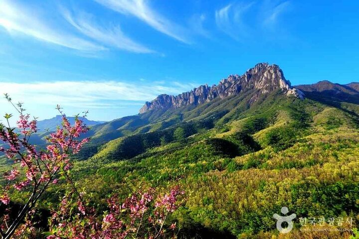 울산바위의 봄