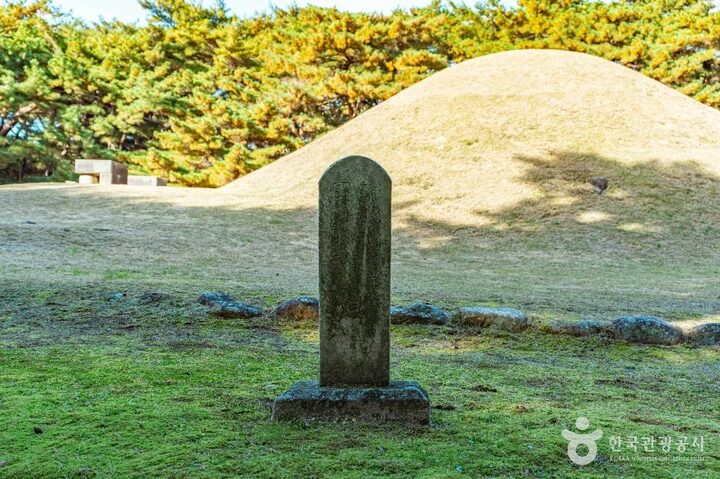 경주_경주 배동 삼릉 (5)