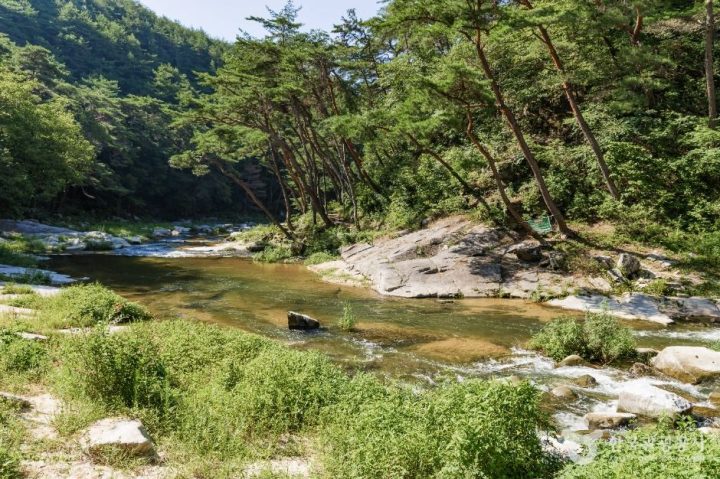 봉화_석천계곡 (2)