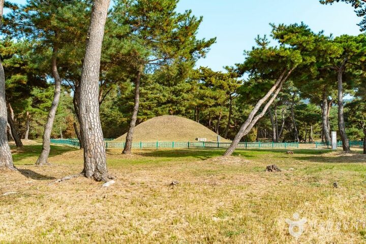 경주_경주 효소왕릉 (1)