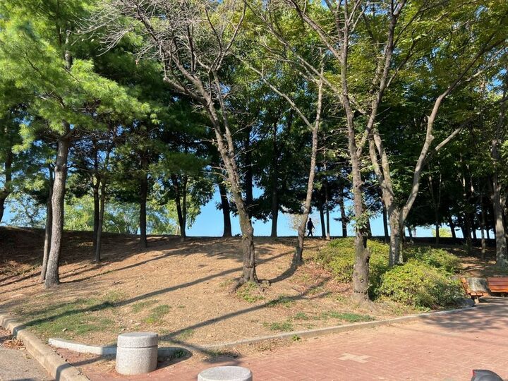 임당동고분군_진입로_현재 24