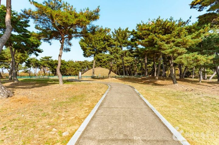 경주_경주 효소왕릉 (2)
