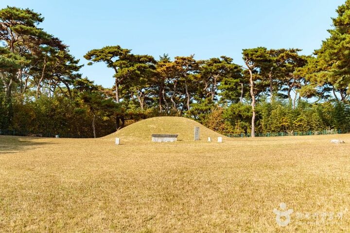 경주_경주 신무왕릉 (1)