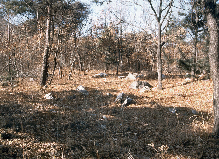 원층사지전경
