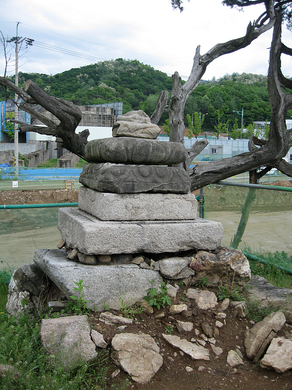 전체 사진