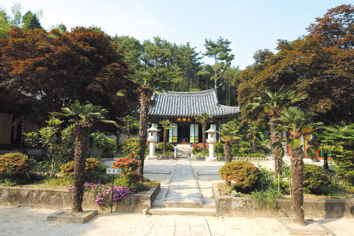 묘관음사전경